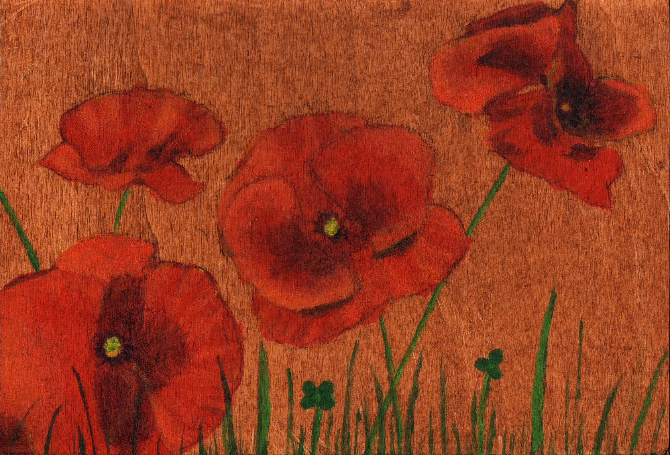 vignette dessin coquelicots