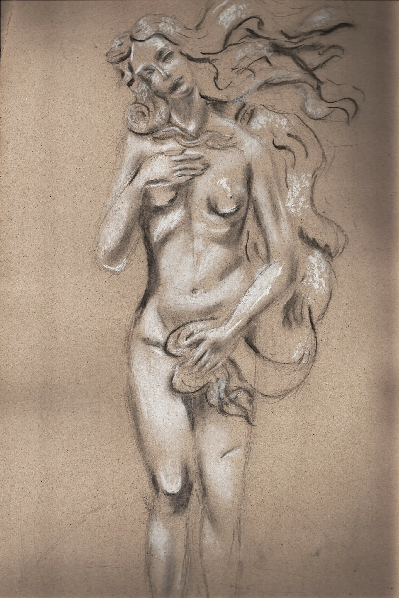 vignette dessin Vénus